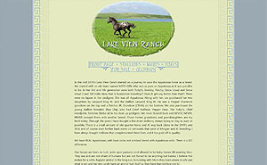 Lake View Ranch